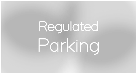 EMISALBA - Regulated Parking
